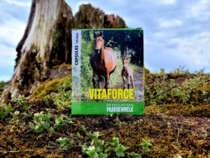 VitaForce Paardenmelk Capsule